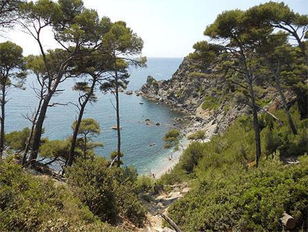 A 500 Metres Des Plages Et Du Port Du Brusc, Les Terrasses Des Embiez Avec Piscine Et Spa Six-Fours-les-Plages Exterior photo